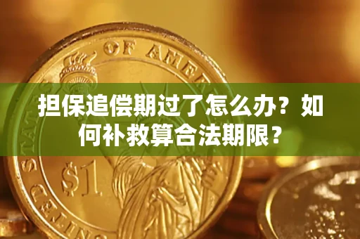 北京担保追偿期过了怎么办？如何补救算合法期限？