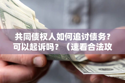 北京共同债权人如何追讨债务？可以起诉吗？（速看合法攻略）