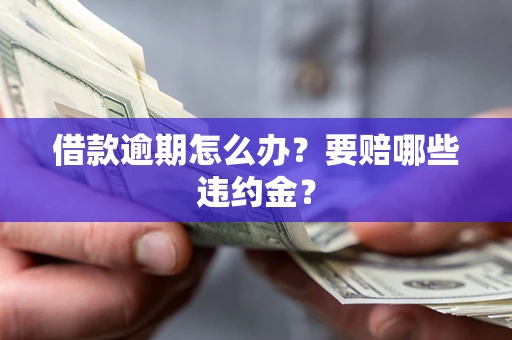 北京借款逾期怎么办？要赔哪些违约金？