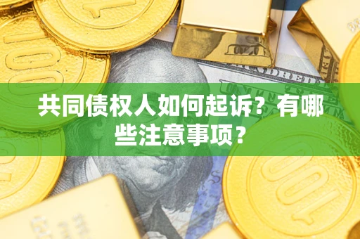 北京共同债权人如何起诉？有哪些注意事项？
